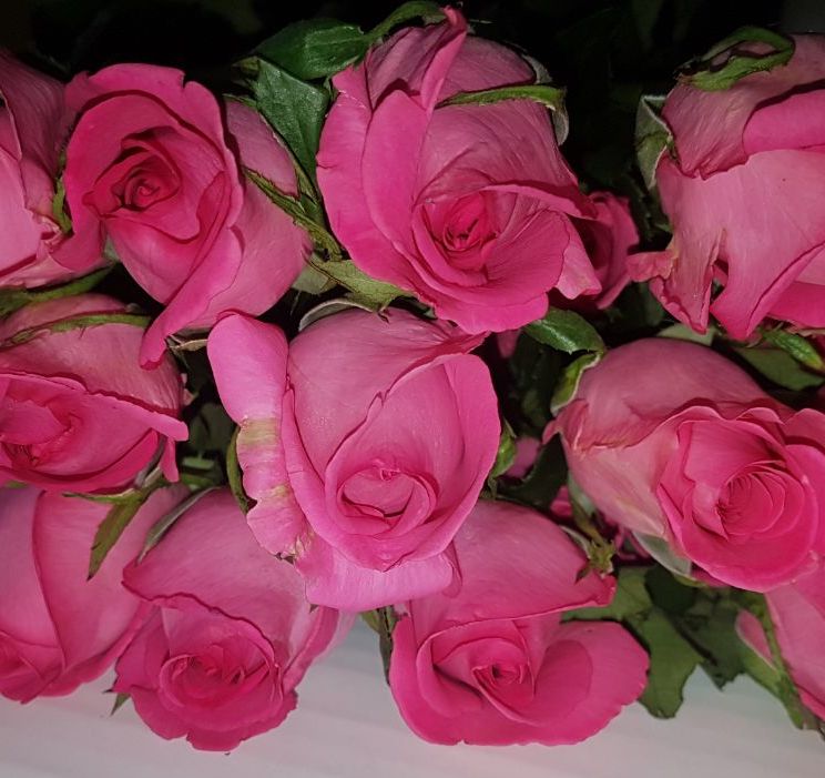 Red Rose for rs.350 and up, pack of 12