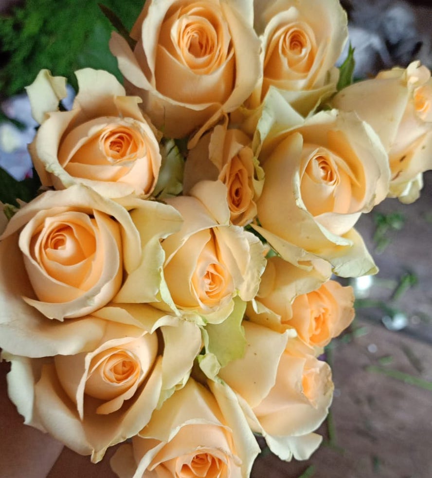 Yellow Rose for rs.350 and up, pack of 12